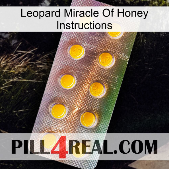 Leopard Miracle Of Honey Instructions new11.jpg